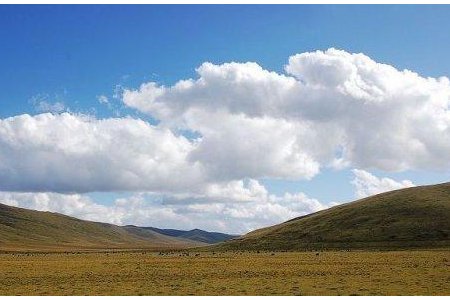 浅喜似苍狗 深爱如长风 是什么意思?