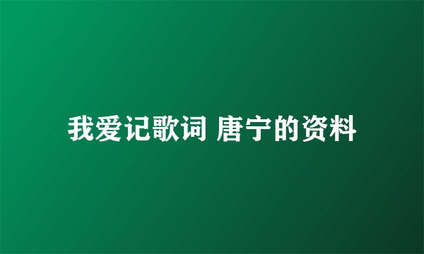 我爱记歌词 唐宁的资料