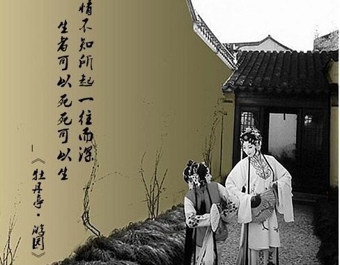 情不知所起 一往而深 情不知所终 一往而殆什么意思