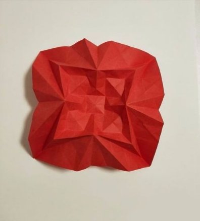 胜利花是怎么做得