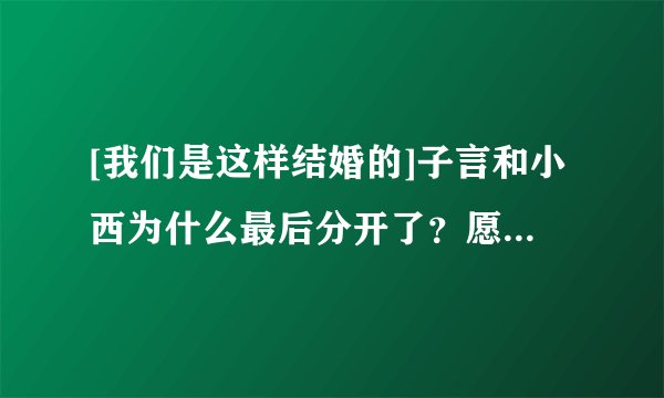 [我们是这样结婚的]子言和小西为什么最后分开了？愿详细越好噢