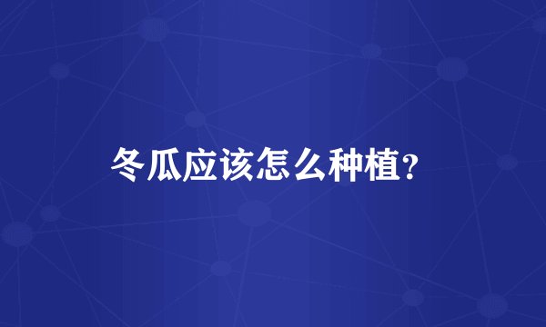 冬瓜应该怎么种植？