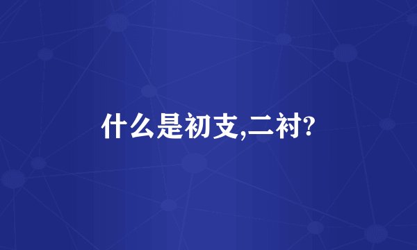 什么是初支,二衬?