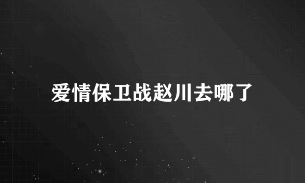 爱情保卫战赵川去哪了