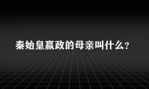 秦始皇嬴政的母亲叫什么？