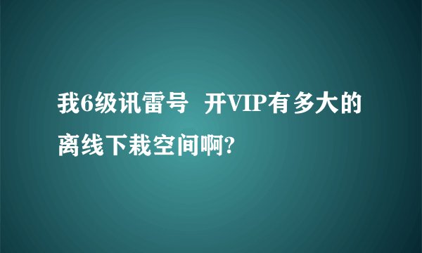 我6级讯雷号  开VIP有多大的离线下栽空间啊?