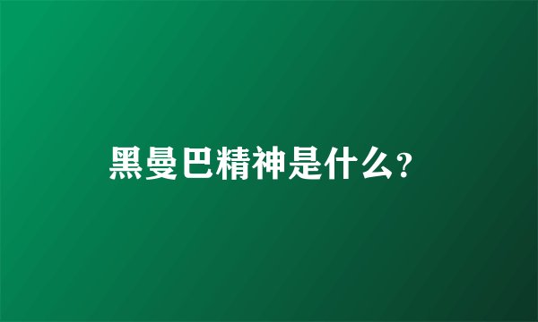 黑曼巴精神是什么?