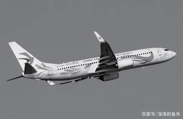 东航mu5735客机是从哪里到哪里的?坠毁时到底发生了什么?