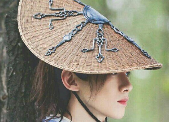 顾南衣结局是什么