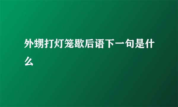 外甥打灯笼歇后语下一句是什么