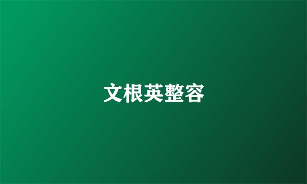 文根英整容