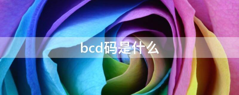 bcd码是什么意思