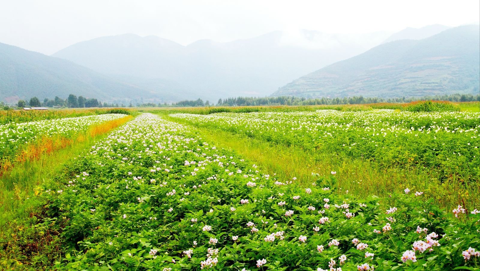 一亩地是多少平方米？