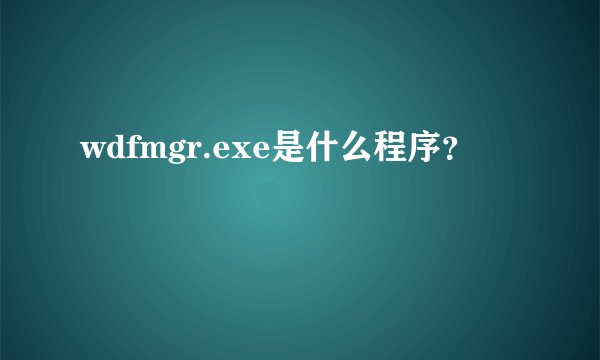 wdfmgr.exe是什么程序？