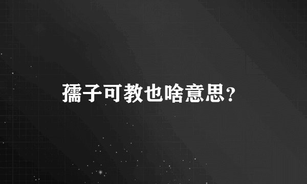 孺子可教也啥意思？
