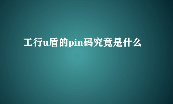 工行u盾的pin码究竟是什么