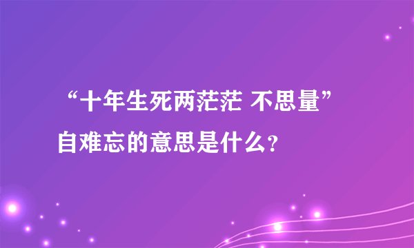“十年生死两茫茫 不思量” 自难忘的意思是什么？
