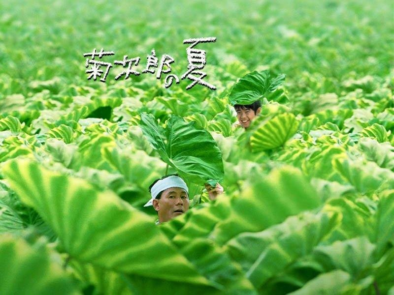求菊次郎的夏天桌面自取资源~高清的最好，谢谢！！