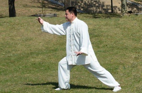 野马分鬃的含义是什么？