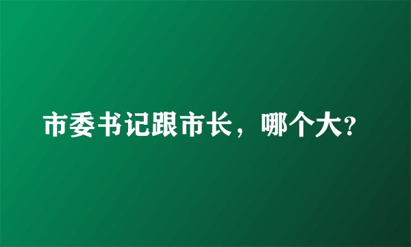 市委书记跟市长，哪个大？