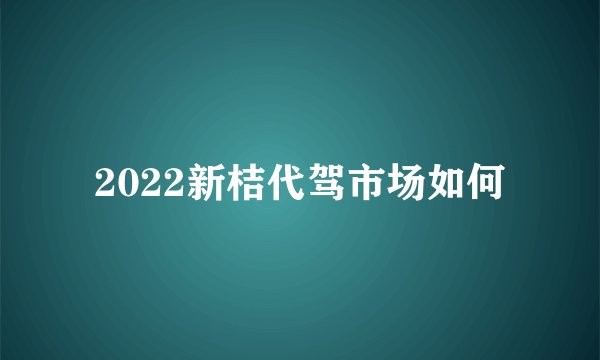 2022新桔代驾市场如何