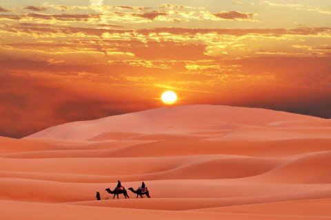 你知道阿拉善沙漠是几大沙漠的统称吗?