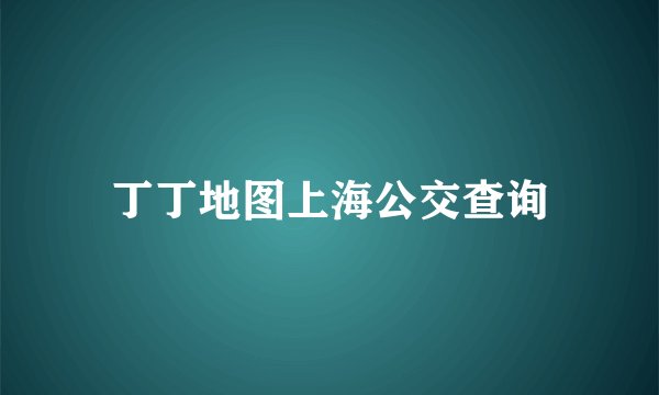 丁丁地图上海公交查询