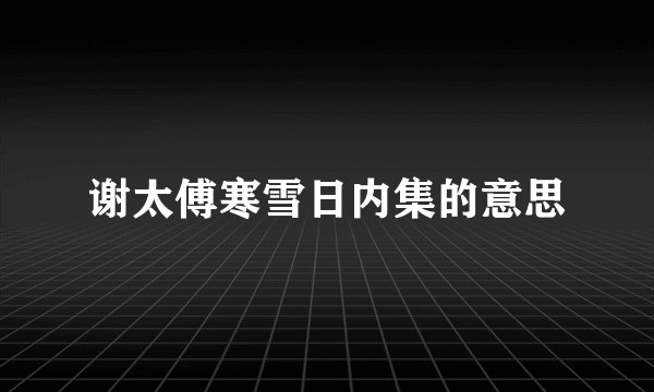 谢太傅寒雪日内集的意思