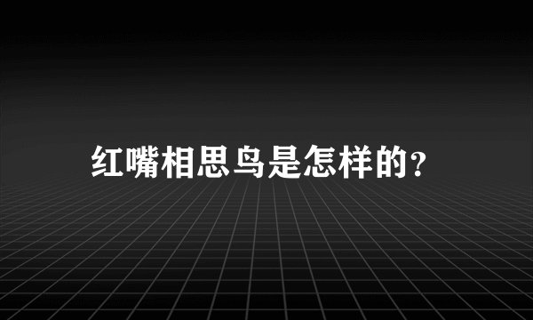 红嘴相思鸟是怎样的？