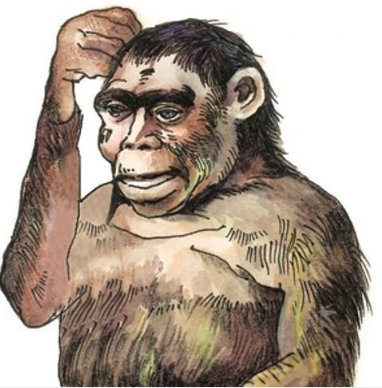 人到底是怎么来的？