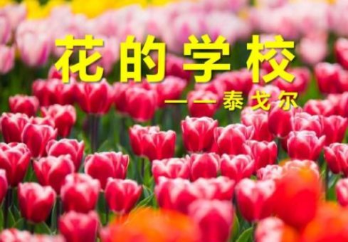 口笛理解词语是什么