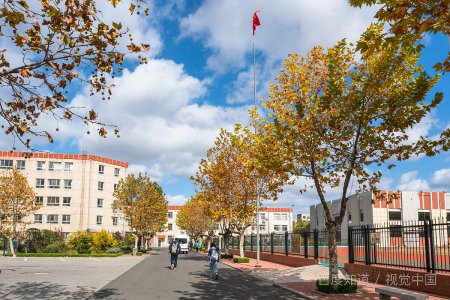 烟台大学是一本院校还是二本院校？