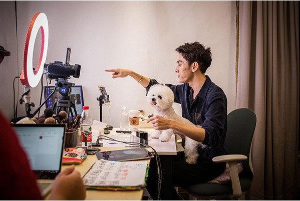 皮燕子是什么意思？