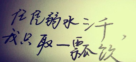 弱水三千，我只取一瓢饮是什么意思？