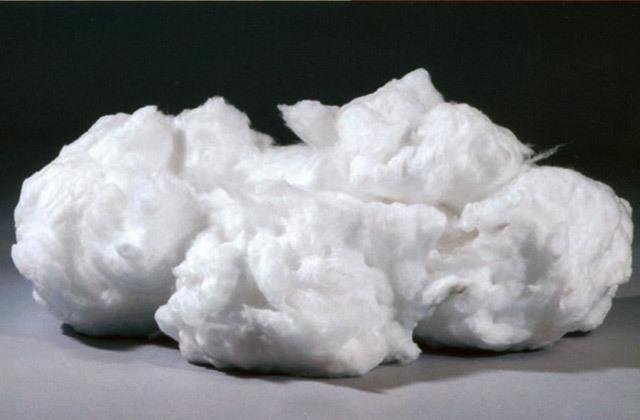 纤维是什么?有什么用途