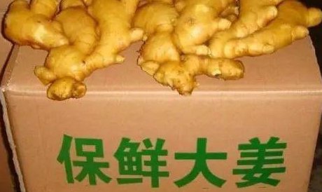 最适合收获老姜的时节是每年的什么时候?具体是几月份?
