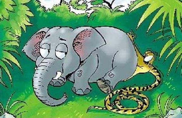 贪心不足蛇吞象什么意思