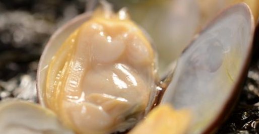 嘎啦是什么海鲜啊?