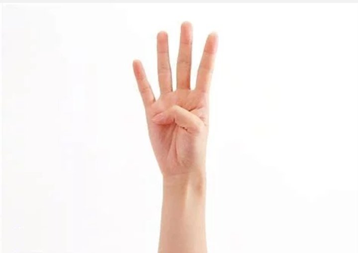 数字“4” 代表什么意思？