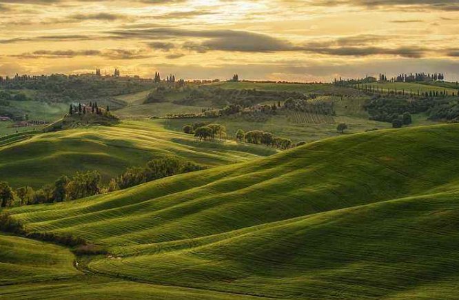 用有的.....有的.....还有的.......造句