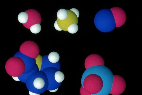 有机物是什么意思