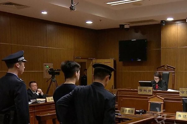 河南安阳狗咬人的事件始末是怎么样的?