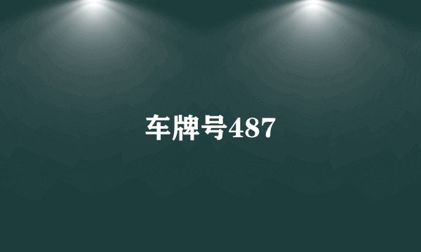 车牌号487