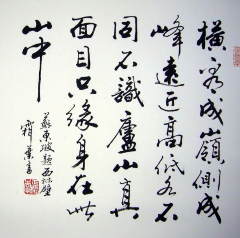 “不识庐山真面目，只缘身在此山中”这句诗是什么意思？