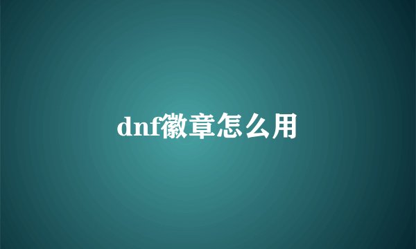 dnf徽章怎么用