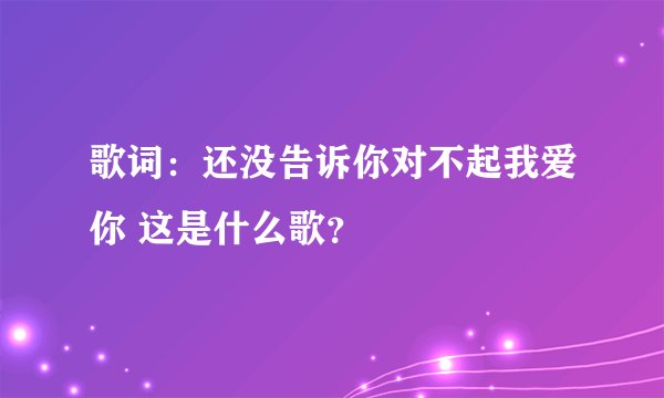 歌词：还没告诉你对不起我爱你 这是什么歌？
