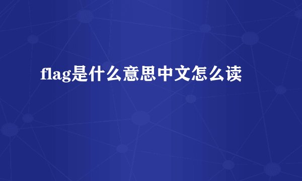 flag是什么意思中文怎么读