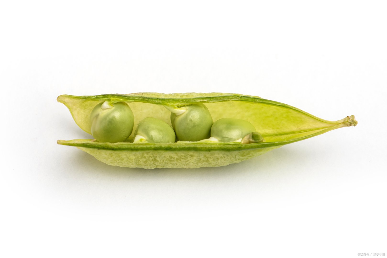 豌豆的做法，都有哪些？