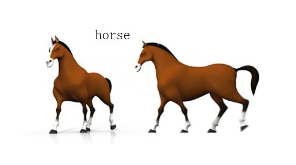 马的音标是什么