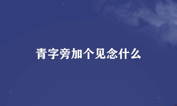 青字旁加个见念什么